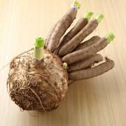 Glucomannan: The Natural Fiber for Weight Management and Digestive Health